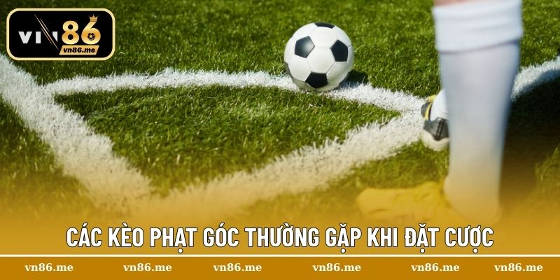 Kèo Phạt Góc – Cách Theo Dõi Và Dự Đoán Tỷ Lệ Hiệu Quả 2 Các kèo phạt góc thường gặp khi đặt cược