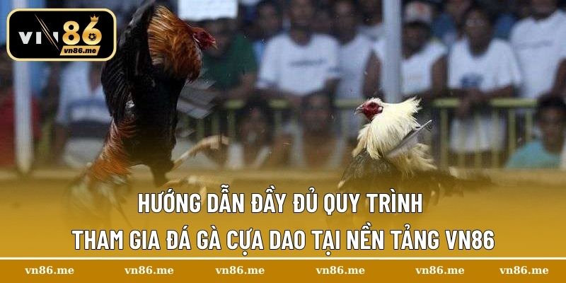 Hướng dẫn đầy đủ quy trình tham gia đá gà cựa dao tại nền tảng Vn86