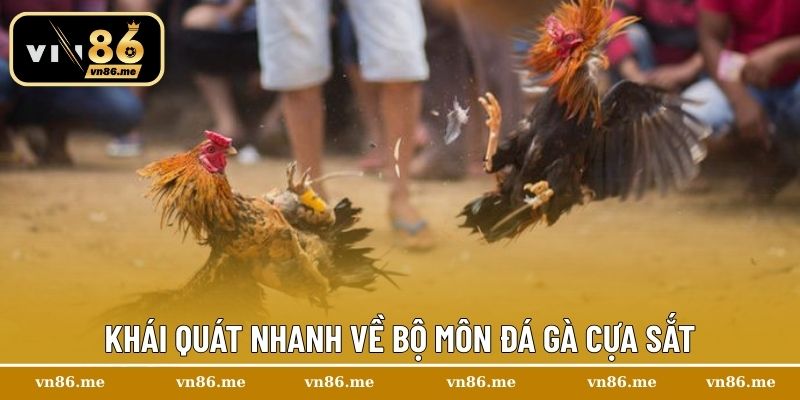 Khái quát nhanh về bộ môn đá gà cựa sắt