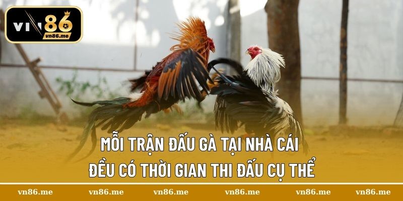 Mỗi trận đấu gà tại nhà cái đều có thời gian thi đấu cụ thể