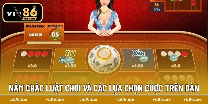 Nắm chắc luật chơi và các lựa chọn cược trên bàn