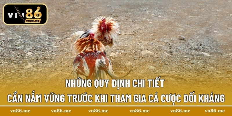 Những quy định chi tiết cần nắm vững trước khi tham gia cá cược đối kháng