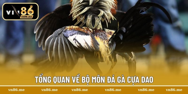 Tổng quan về bộ môn đá gà cựa dao
