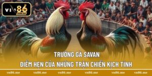 Trường gà Savan