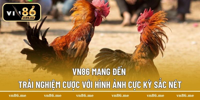 Vn86 mang đến trải nghiệm cược với hình ảnh cực kỳ sắc nét
