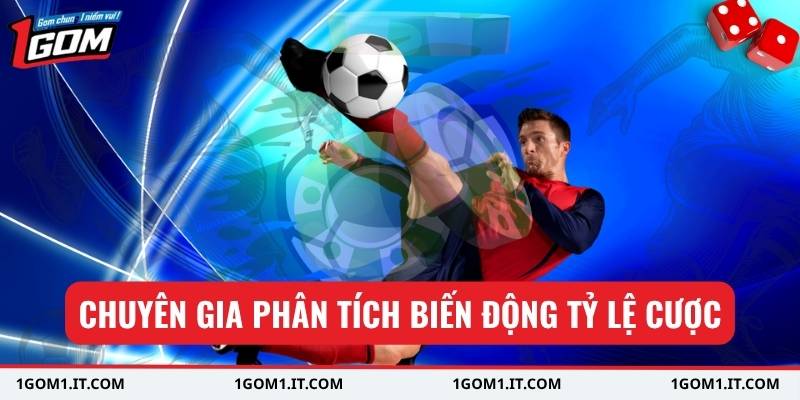 Chuyên gia phân tích biến động tỷ lệ cược