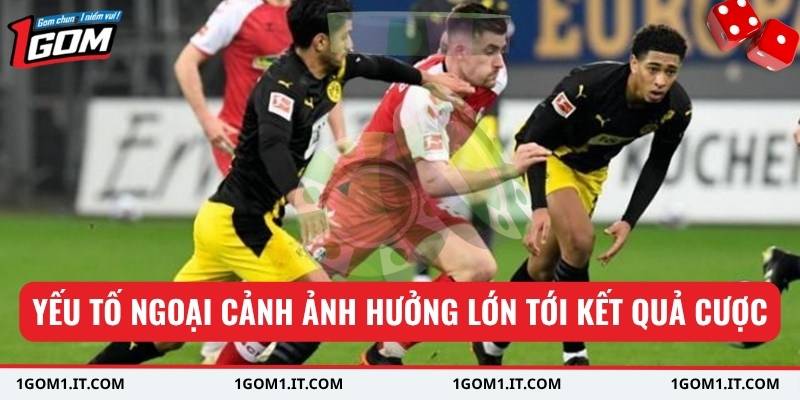 Yếu tố ngoại cảnh ảnh hưởng lớn tới kết quả cược